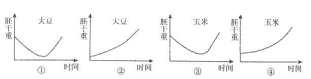 威斯尼斯wns888入口